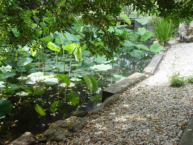 booroowhangary-nov09 028.jpg